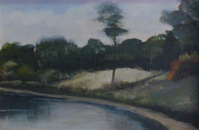 Kiefer am See